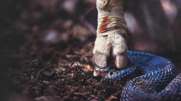 Underfoot (Week 1)